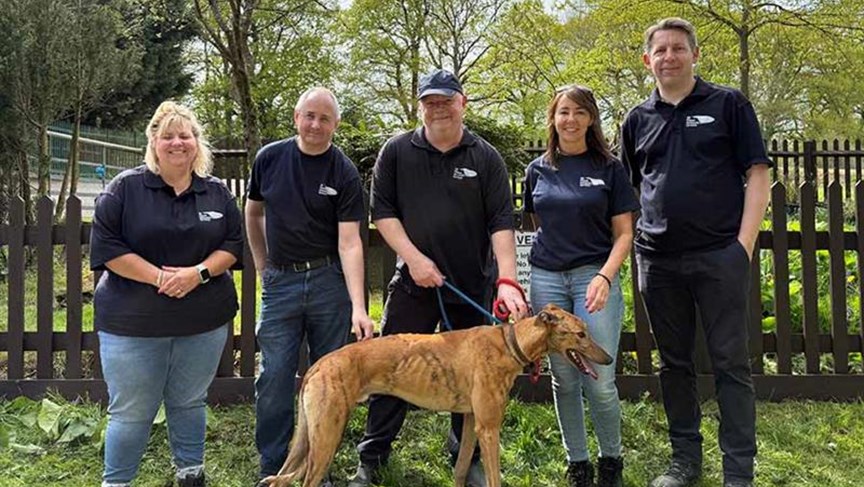Volunteers join busy animal rescue centre to help heartbroken hounds