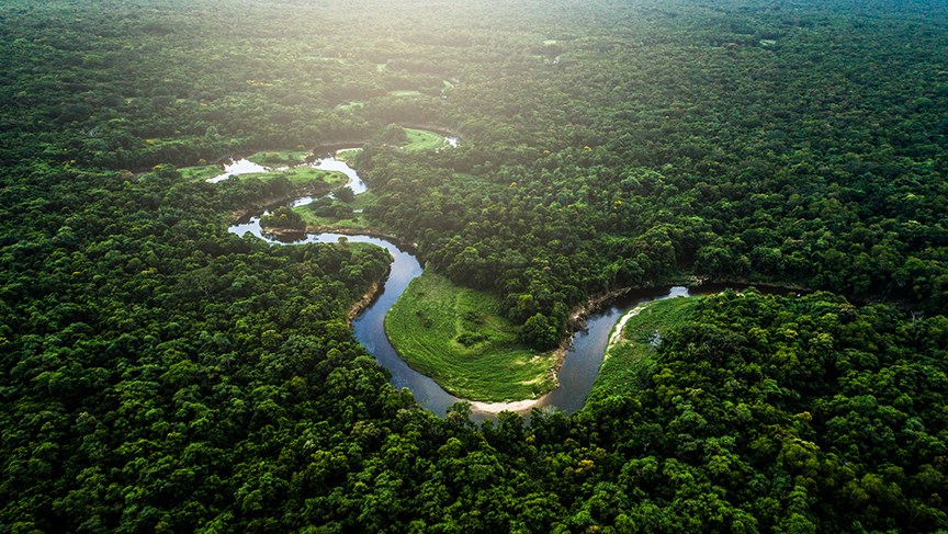Championing the Sustainable Development Goals on the road to Net Zero